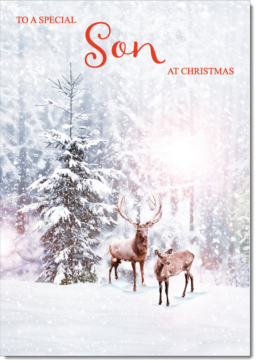 Son Christmas Card Stag and Doe in Snowy Forest – doodlecards
