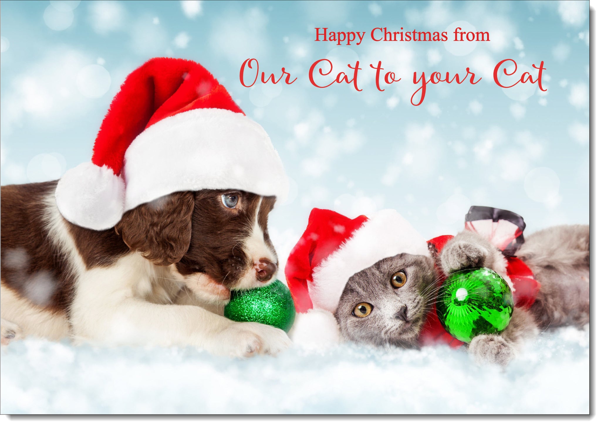 Our Cat To Your Cat Christmas Card Puppy and Kitten with Santa