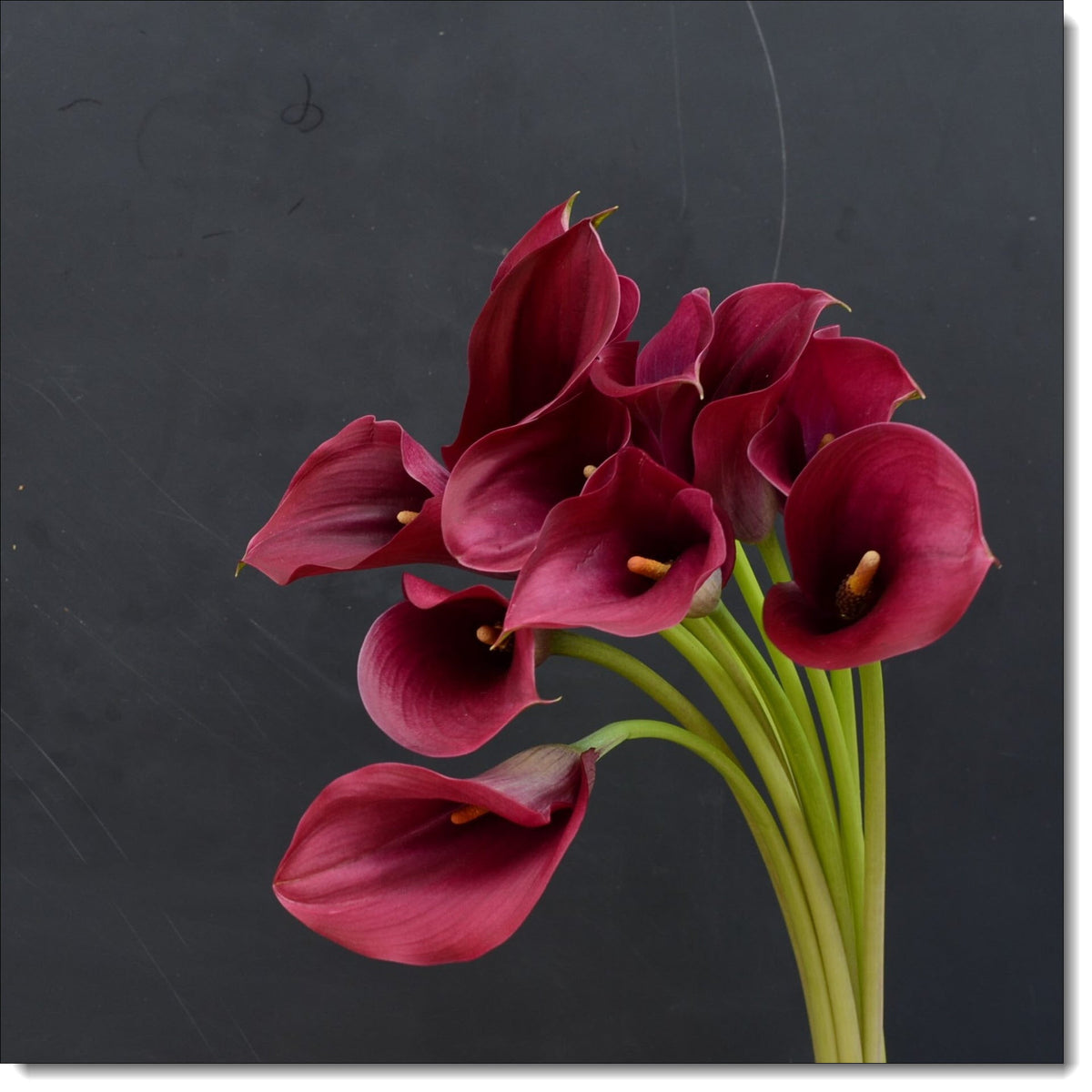 Floral Birthday Card Calla Lily Blooms – doodlecards